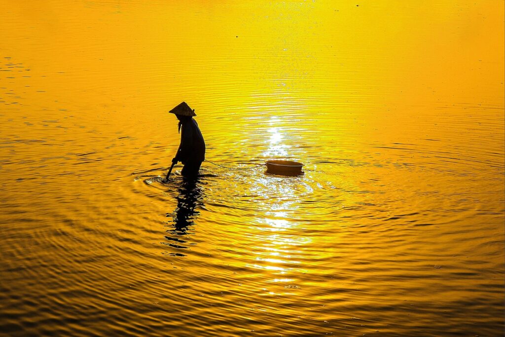 NMNプレミアムを使って失敗しない方法とは？