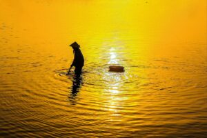 NMNプレミアムを使って失敗しない方法とは？