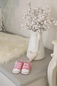 NMNプレミアム初心者向けの詳しい説明は？