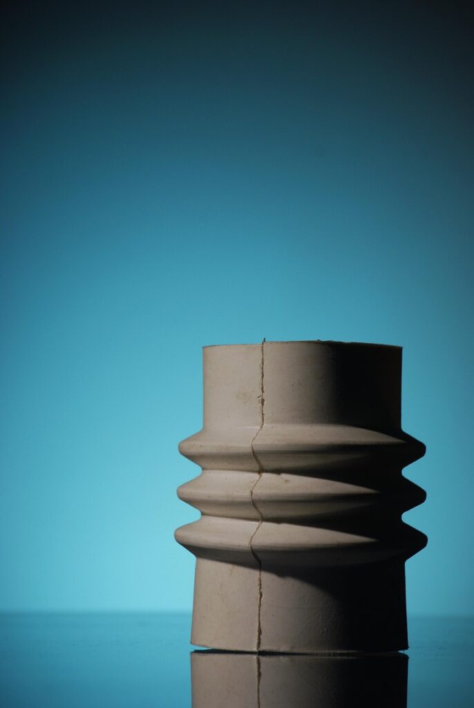 NMNプレミアムのFDA承認に関する日本の状況はどうなっている？