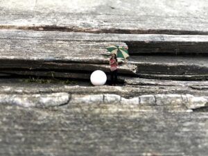 NMNプレミアムはたるみ改善に効果がある？