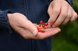 NMNの効果とその方法は本当に実感できる？